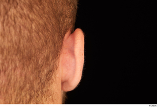 Dave ear 0004.jpg